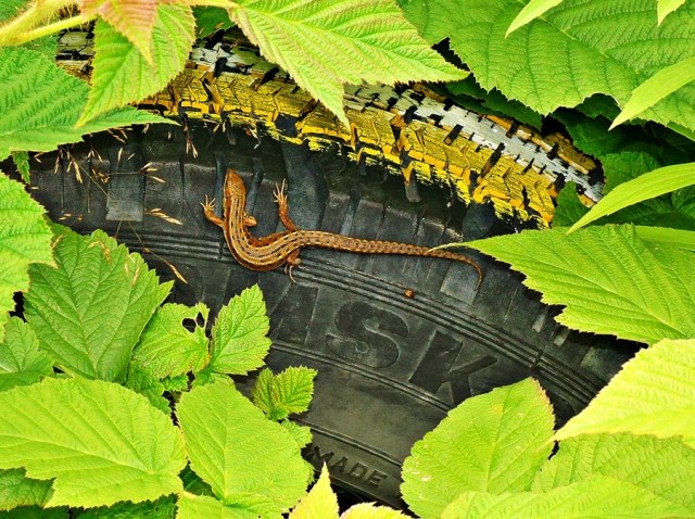 ***
Фотограф: Сергей Буркацкий

Просмотров: 548
Комментариев: 0