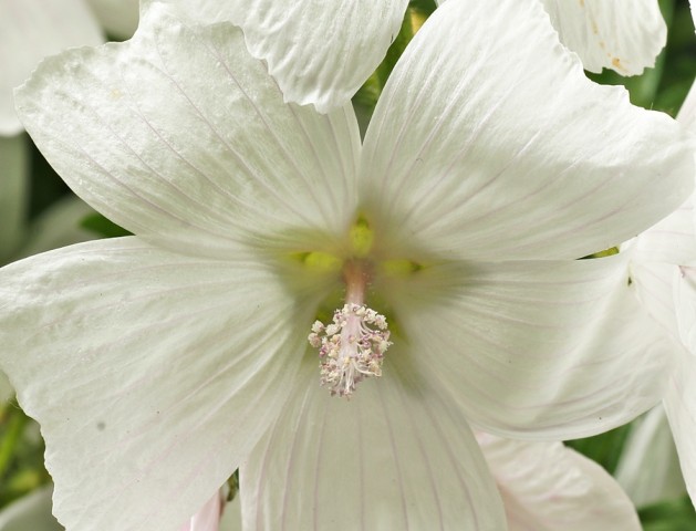 DSC01830
Фотограф: Сергей Буркацкий

Просмотров: 361
Комментариев: 0