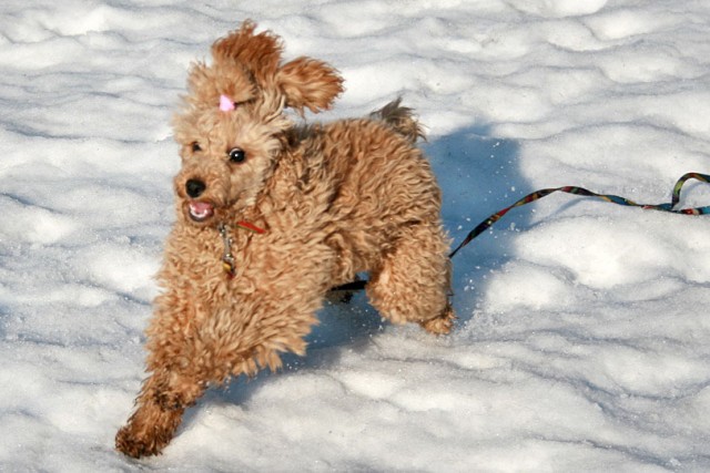 Фото 41

Просмотров: 1866
Комментариев: 0