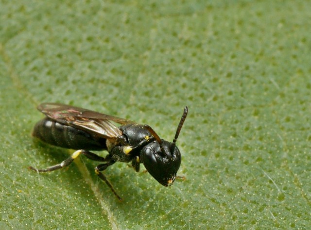 DSC01132
Фотограф: Сергей Буркацкий

Просмотров: 448
Комментариев: 0