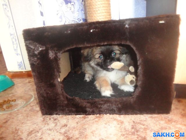 getImage (10)
Фотограф: Ирина

Просмотров: 2307
Комментариев: 0