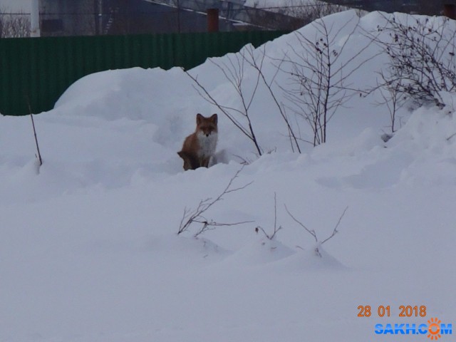 DSC09501

Просмотров: 1003
Комментариев: 0