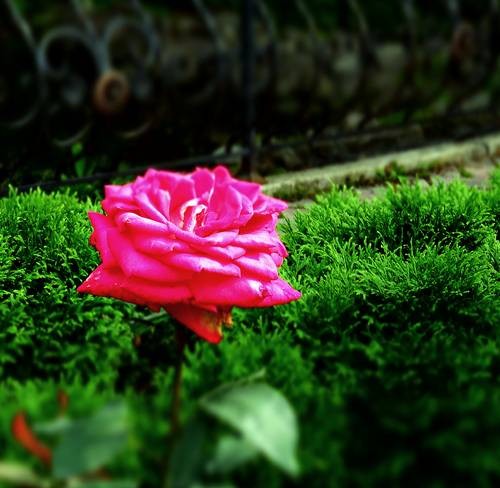 DSC00443
Фотограф: Сергей Буркацкий

Просмотров: 332
Комментариев: 0