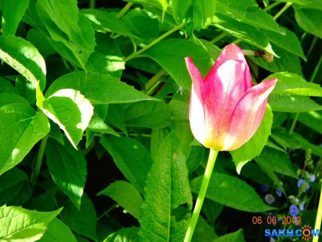 DSC08220

Просмотров: 663
Комментариев: 0