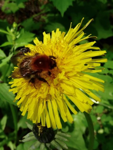 DSC01637
Фотограф: Сергей Буркацкий

Просмотров: 479
Комментариев: 0