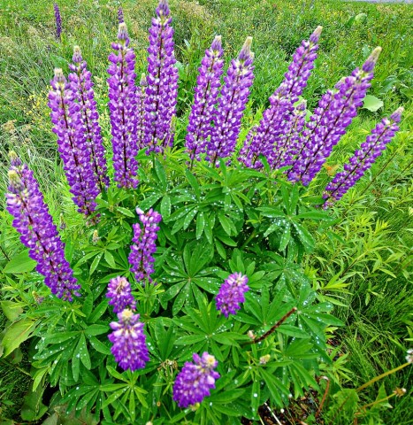 ***
Фотограф: Сергей Буркацкий

Просмотров: 851
Комментариев: 0