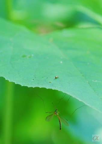 ***
Фотограф: Сергей Буркацкий

Просмотров: 731
Комментариев: 0