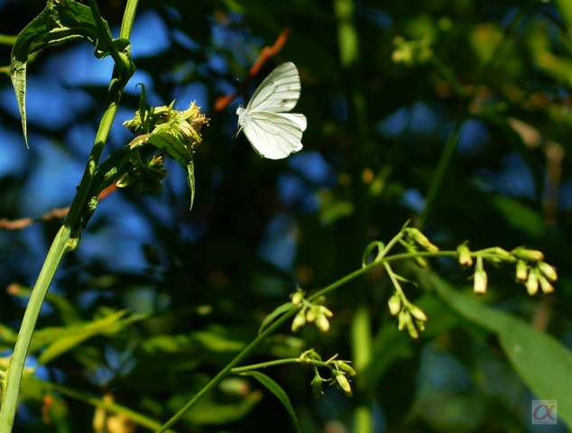 ***
Фотограф: Сергей Буркацкий

Просмотров: 764
Комментариев: 0