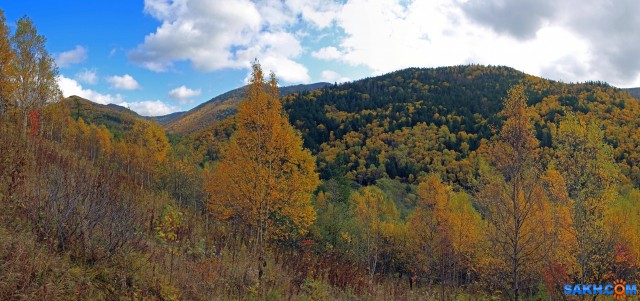 111-пан-к

Просмотров: 627
Комментариев: 0