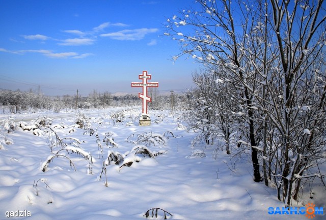 Зима
Фотограф: gadzila

Просмотров: 1612
Комментариев: 0