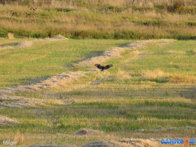 дерижер

Просмотров: 739
Комментариев: 0