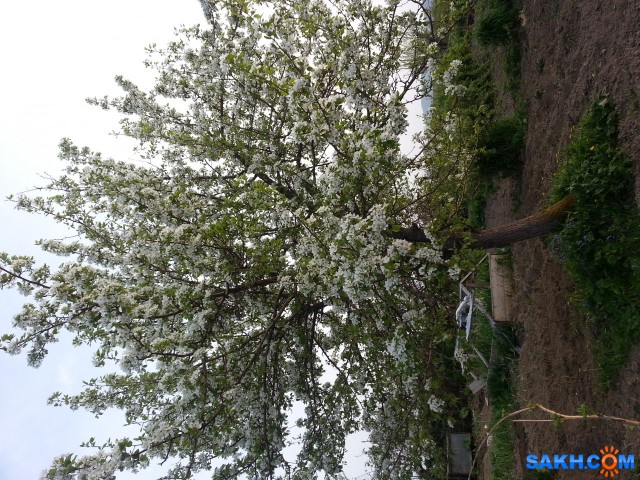 20140602_202034
