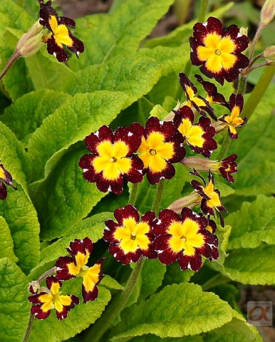 ***
Фотограф: Сергей Буркацкий

Просмотров: 1062
Комментариев: 0