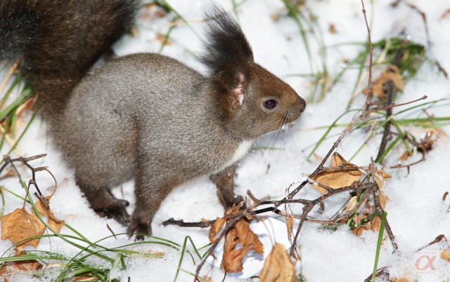 ***
Фотограф: Сергей Буркацкий

Просмотров: 1387
Комментариев: 0