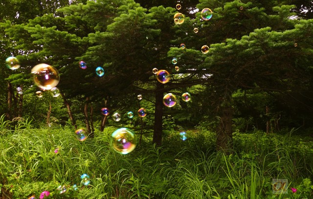 ***
Фотограф: Сергей Буркацкий

Просмотров: 867
Комментариев: 0