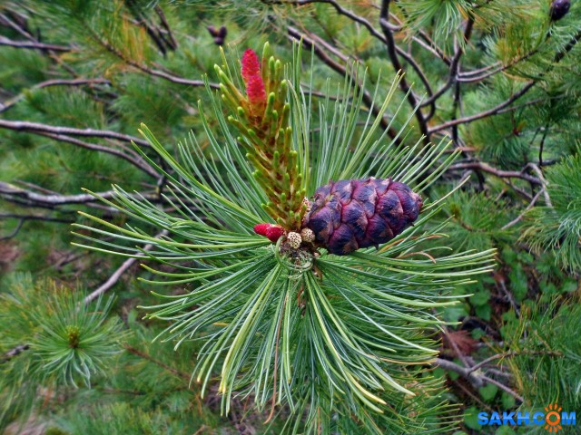 IMG_7490

Просмотров: 486
Комментариев: 0