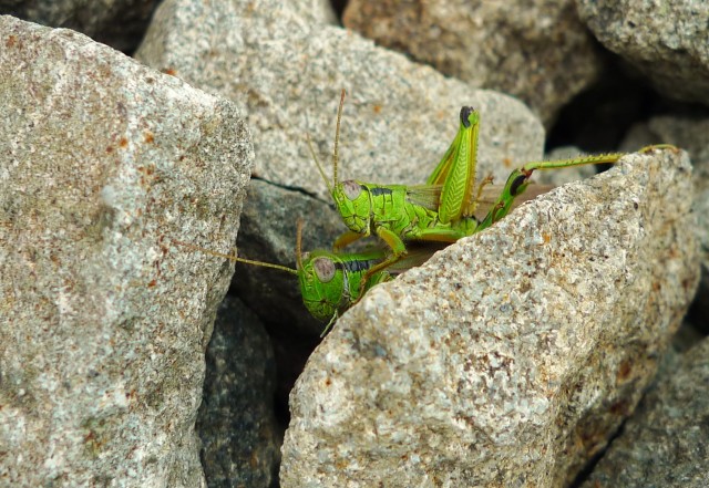 ***
Фотограф: Ирина Буркацкая

Просмотров: 834
Комментариев: 0