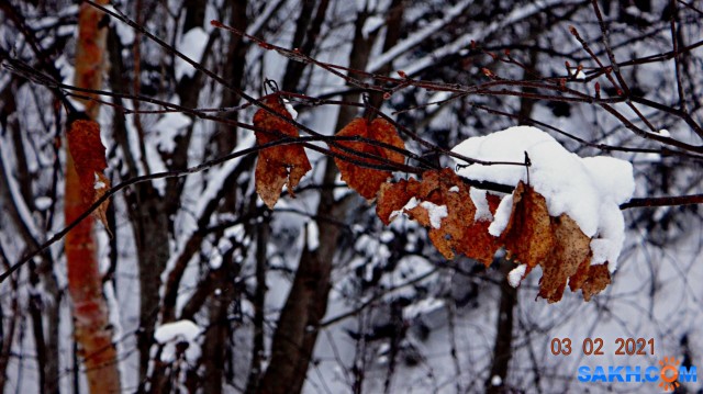 DSC09914

Просмотров: 489
Комментариев: 0