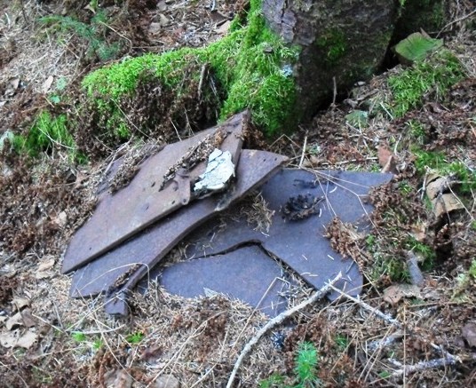 Найденные детали разбившегося самолёта на склоне горы Красной

Просмотров: 1784
Комментариев: 0