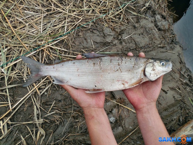 DSCN0893

Просмотров: 673
Комментариев: 1