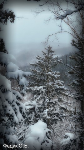 обкатка снегоступов
Фотограф: Федик О.Б.

Просмотров: 505
Комментариев: 0