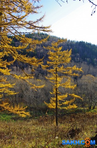 019-23-к

Просмотров: 793
Комментариев: 0