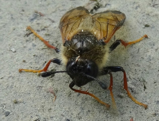 DSC03479
Фотограф: Сергей Буркацкий

Просмотров: 878
Комментариев: 0