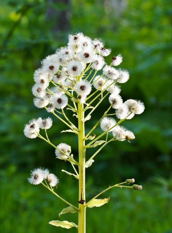 ***
Фотограф: Сергей Буркацкий

Просмотров: 789
Комментариев: 0