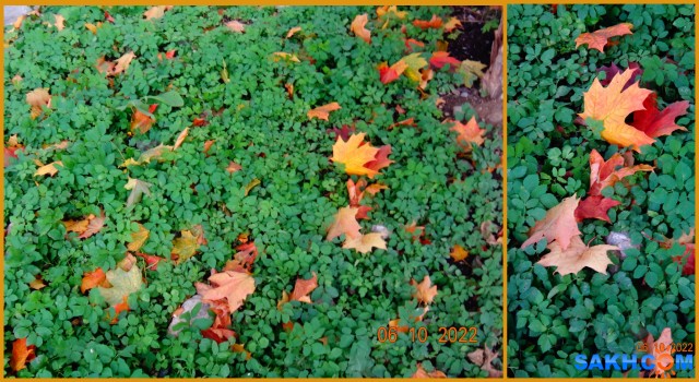 MyCollages

Просмотров: 448
Комментариев: 0