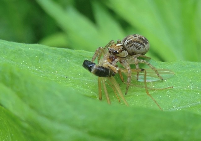 DSC01514
Фотограф: Сергей Буркацкий

Просмотров: 705
Комментариев: 0