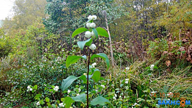 DSC07987

Просмотров: 379
Комментариев: 0