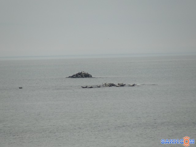 DSC09409