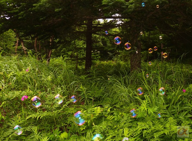 ***
Фотограф: Сергей Буркацкий

Просмотров: 798
Комментариев: 0