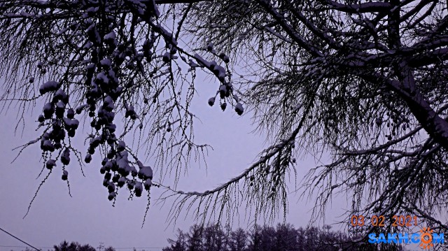 DSC09898

Просмотров: 385
Комментариев: 0