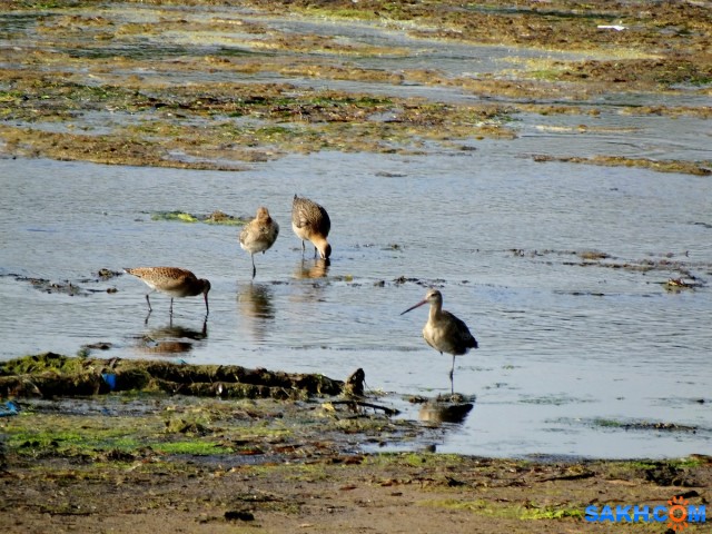 DSC04922_м

Просмотров: 636
Комментариев: 1