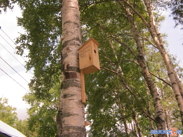 В зоопарке
Фотограф: mrnsin

Просмотров: 6257
Комментариев: 0