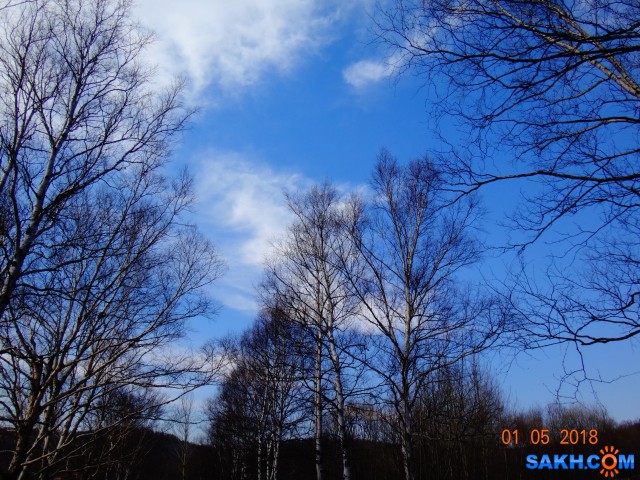 DSC01023