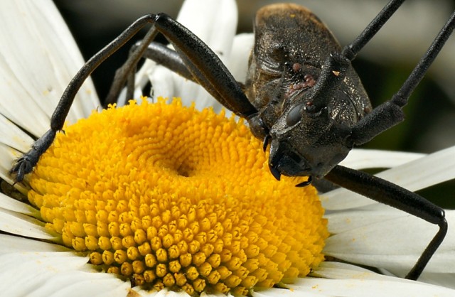 DSC01748
Фотограф: Сергей Буркацкий

Просмотров: 378
Комментариев: 0