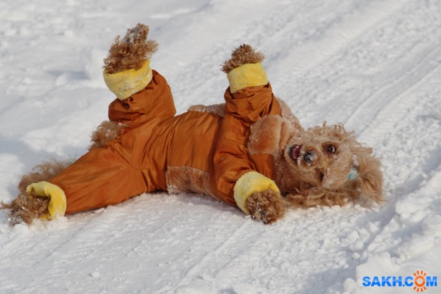 К пурге

Просмотров: 733
Комментариев: 2