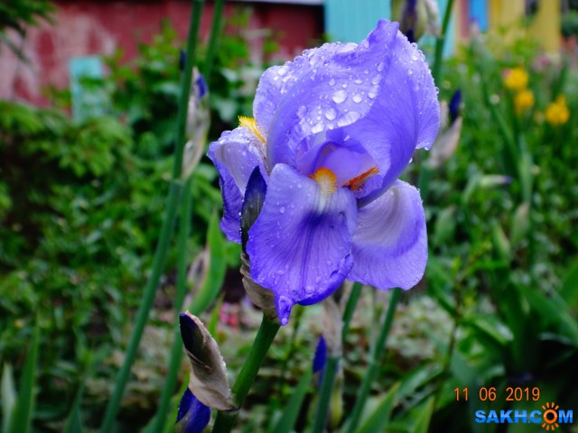 DSC08641

Просмотров: 631
Комментариев: 0