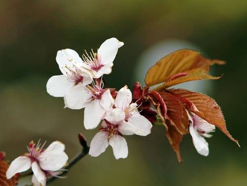 DSC04854
Фотограф: Сергей Буркацкий

Просмотров: 506
Комментариев: 0