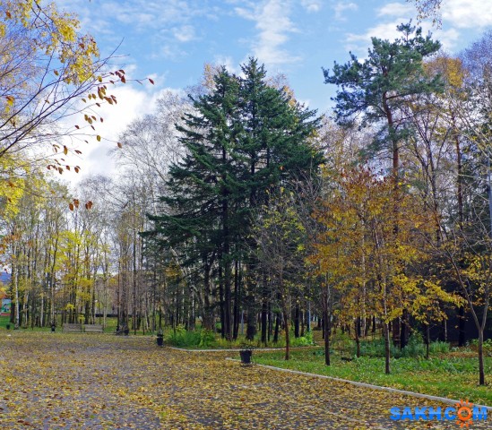 001-1-к

Просмотров: 801
Комментариев: 0