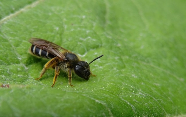 DSC01511
Фотограф: Сергей Буркацкий

Просмотров: 694
Комментариев: 0