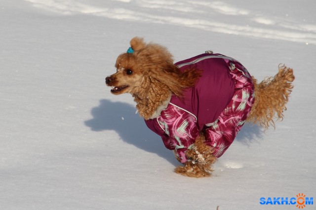 Мэри

Просмотров: 690
Комментариев: 0