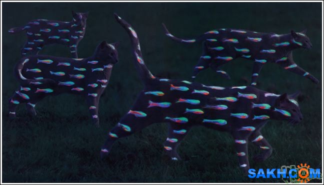 15
Фотограф: synthetic

Просмотров: 210
Комментариев: 0