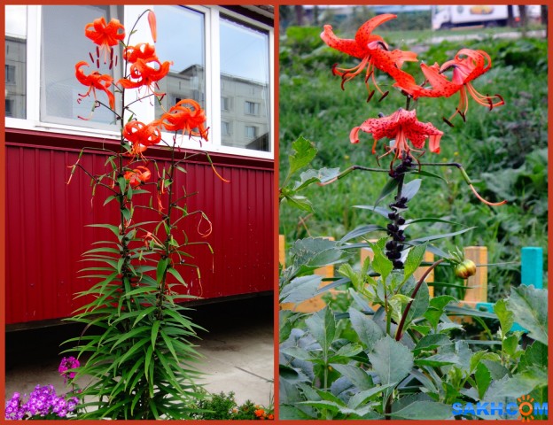 MyCollages

Просмотров: 436
Комментариев: 0