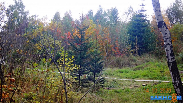 DSC08047

Просмотров: 643
Комментариев: 0