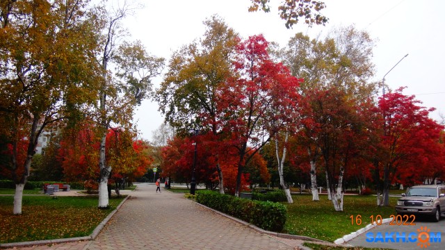 DSC04815
Сквер у театра.

Просмотров: 348
Комментариев: 0