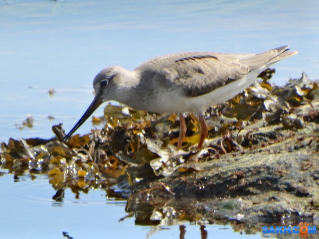 Мородунка

Просмотров: 657
Комментариев: 0