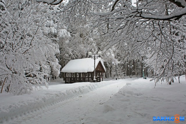 012-к

Просмотров: 788
Комментариев: 0